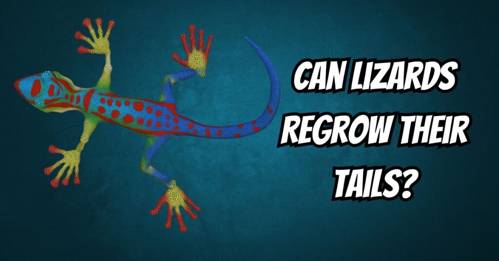 Can Lizards Regrow Their Tails