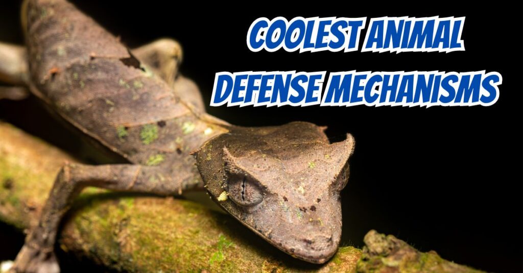 Coolest Animal Defense Mechanisms