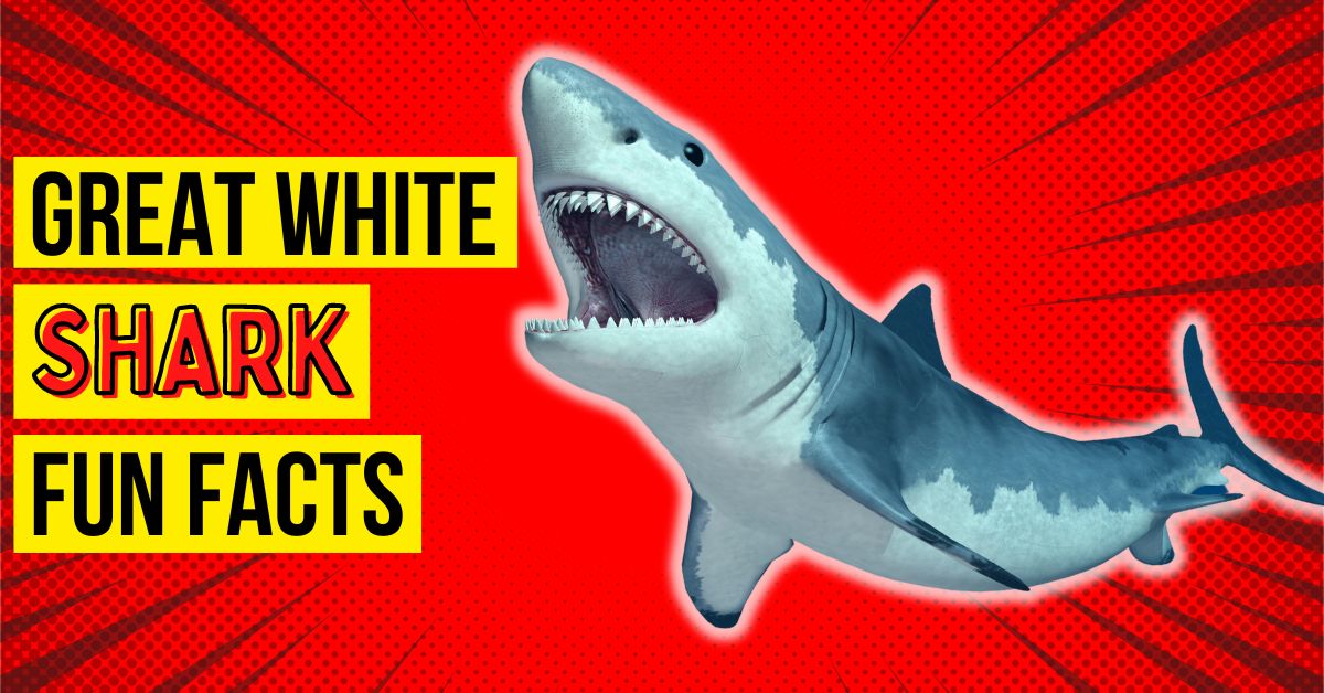 Great White Shark Facts - 10 Amazing Facts You Won't Believe - Beast Bits