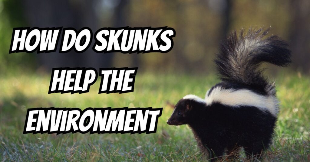 How do Skunks Help the Environment