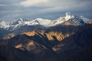 When Were Red Pandas Discovered Himalayas