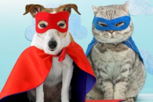 Why Animals Have Tails - Superhero Cat & Dog